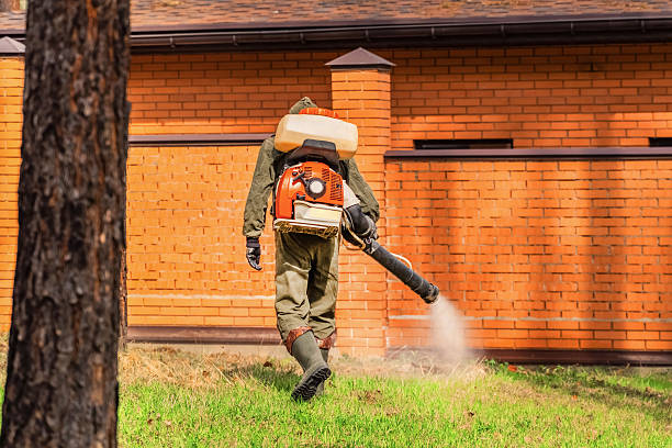 Trusted Ant Control service in Norman Park, GA - Nex Pest Control
